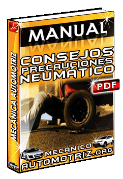 Descargar Manual de Consejos y Precauciones Sobre Neumáticos