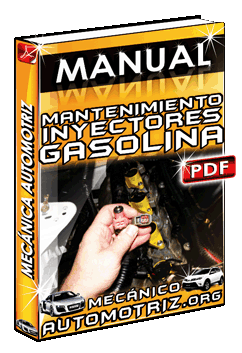 Descargar Manual de Mantenimiento de Inyectores de Gasolina