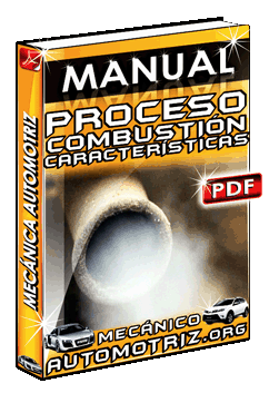 Descargar Manual de Características de Procesos de Combustión