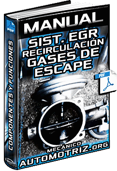 Descargar Manual de Sistema EGR Recirculación de Gases de Escape