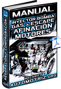 Descargar Manual de Inyector Bomba GM/PT y Gas de Escape
