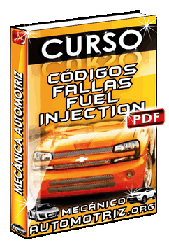 Ver Curso de Códigos de Fallas Fuel Inyection