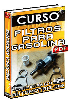 Descargar Curso de Filtros para Gasolina