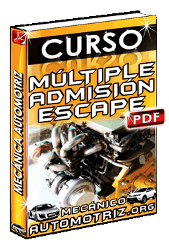 Descargar Curso de Tipos y Funciones de Múltiples de Admisión y Escape