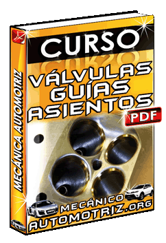 Descargar Curso de Válvulas, Guías y Asientos