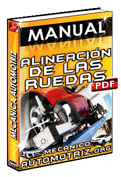 Descargar Manual de Mantenimiento de Inyectores de Gasolina