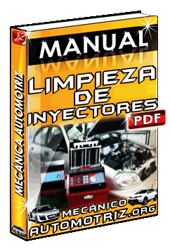 Descargar Manual de Limpieza de Inyectores