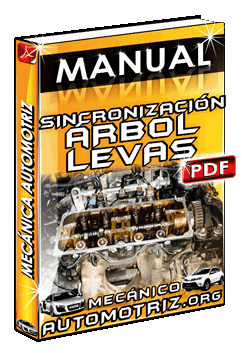 Descargar Manual de Sincronización del Árbol de Levas