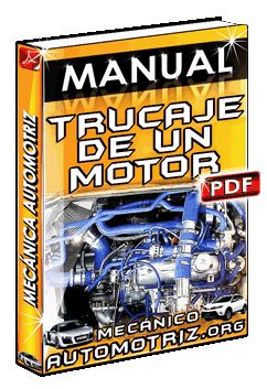 Descargar Manual de Trucaje de Motores