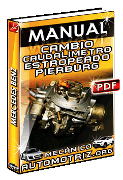 Descargar Manual de Cambio de Caudalimetro estropeado por Pierburg de Mercedes Benz