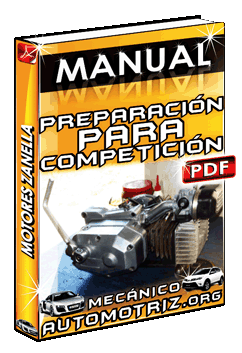 Descargar Manual de Preparación para Competición de Motores Zanella