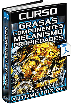 Descargar Curso de Grasas