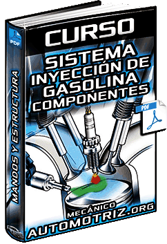 Curso: Sistema de Inyección de Gasolina - Esquemas, Circuitos y Componentes