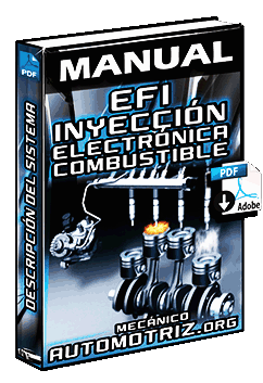 Descargar Manual de EFI Inyección Electrónica de Combustible