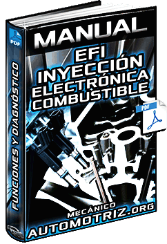 Descargar Manual de EFI Inyección Electrónica de Combustible