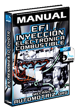 Descargar Manual de Inyección Electrónica de Combustible EFI