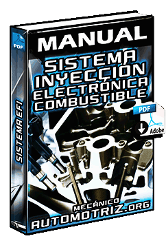 Descargar Manual de EFI Inyección Electrónica de Combustible