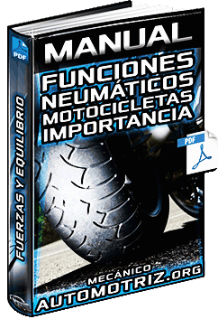 Descargar Manual de Neumáticos de Motos