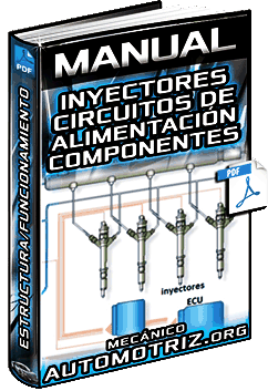 Manual: Inyectores y Circuitos de Alimentación - Estructura, Componentes y Funciones