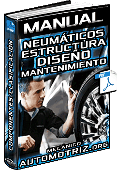 Descargar Manual de Neumáticos