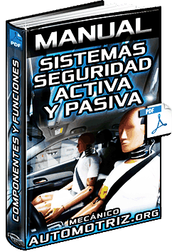 Descargar Manual de Seguridad Activa y Pasiva