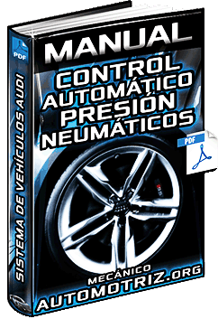 Manual de Sistema de Control Automático de Presión de Neumáticos de Audi