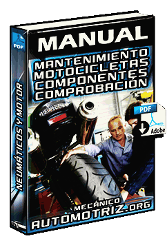 Manual de Mantenimiento de Motos – Neumáticos, Aceite del Motor y Luces