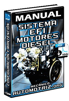 Manual de Sistema EFI de Motores Diesel: Tipos, Mantenimiento y Configuraciones