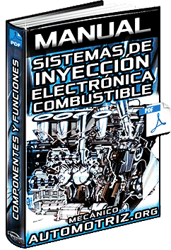 Manual: Sistema de Inyección Electrónica de Combustible y Clasificación