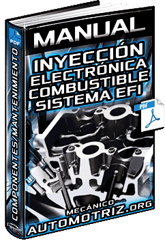 Manual: Inyección Electrónica de Combustible – Sistema EFI, Componentes y Funciones